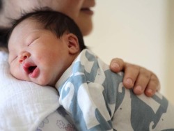 关于代妈应聘公司